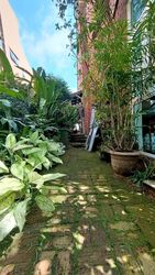Dunearn Road (D11), Detached #624918621